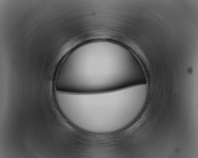 X0000102480834200808081031