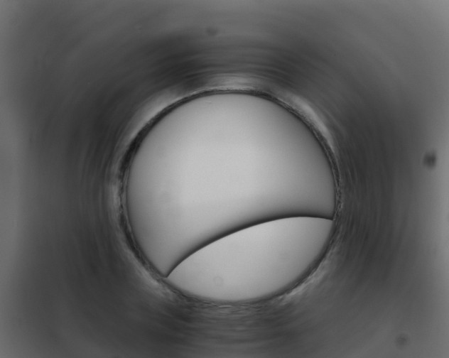 X0000102480835200808081031