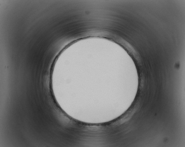 X0000102480836200808081031