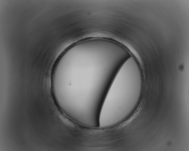 X0000102480837200808081031