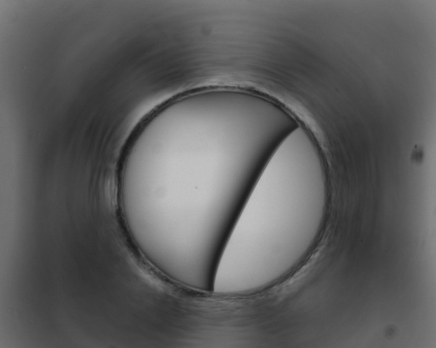 X0000102480838200808081031