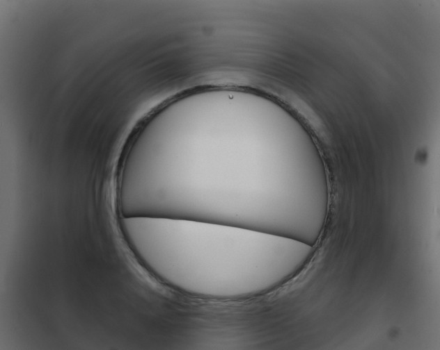 X0000102480840200808081031