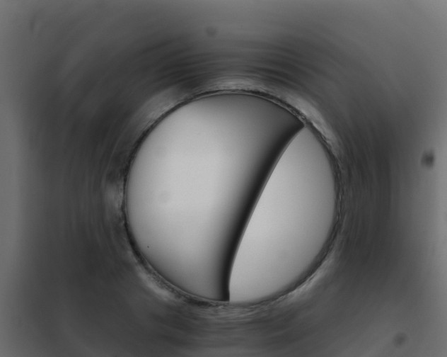 X0000102480841200808081031