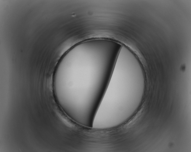 X0000102480842200808081031
