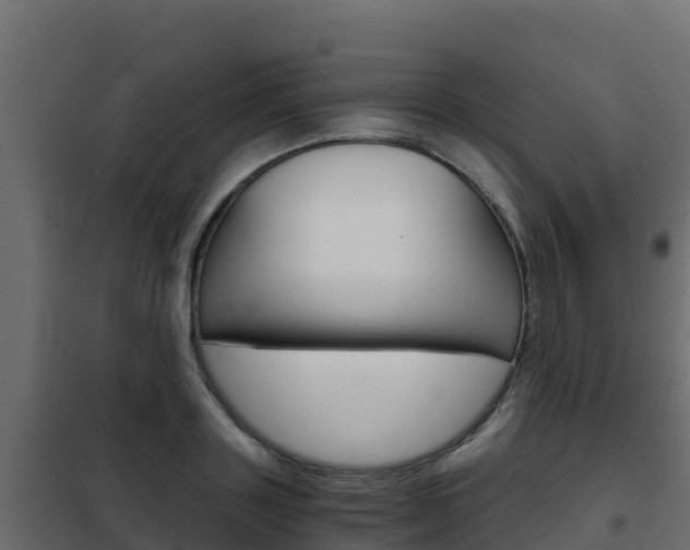 X0000102480843200808081031