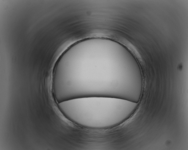 X0000102480844200808081031