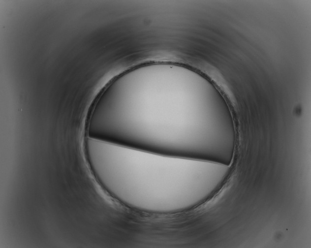 X0000102480845200808081031