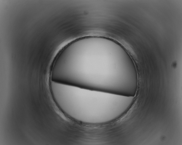 X0000102480846200808081031