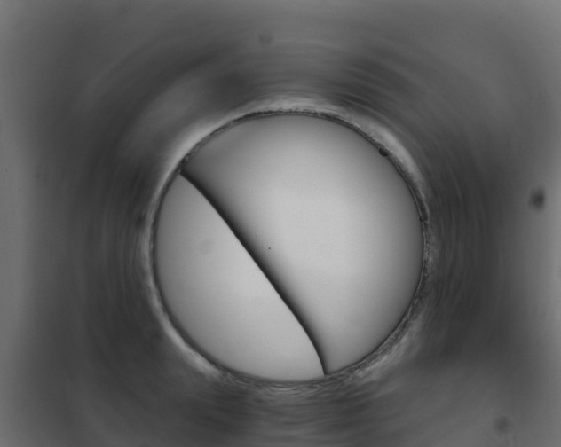 X0000102480847200808081031