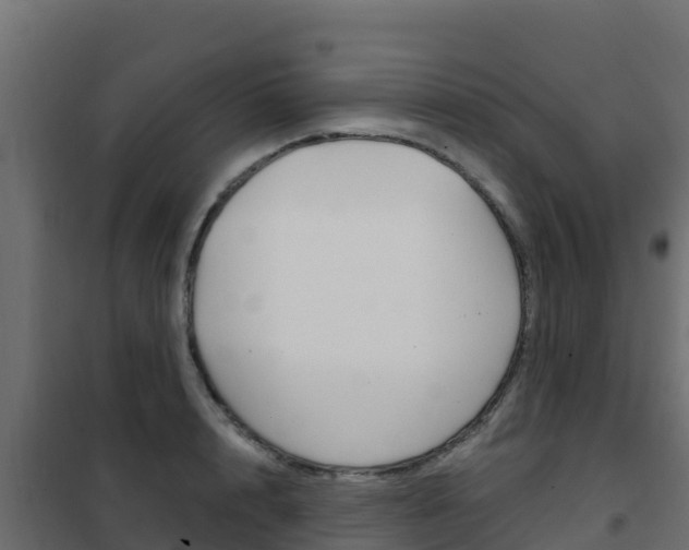 X0000102480848200808081031