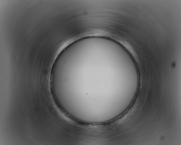 X0000102480850200808081031