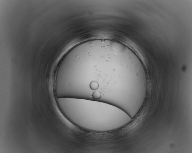 X0000102480851200808081031