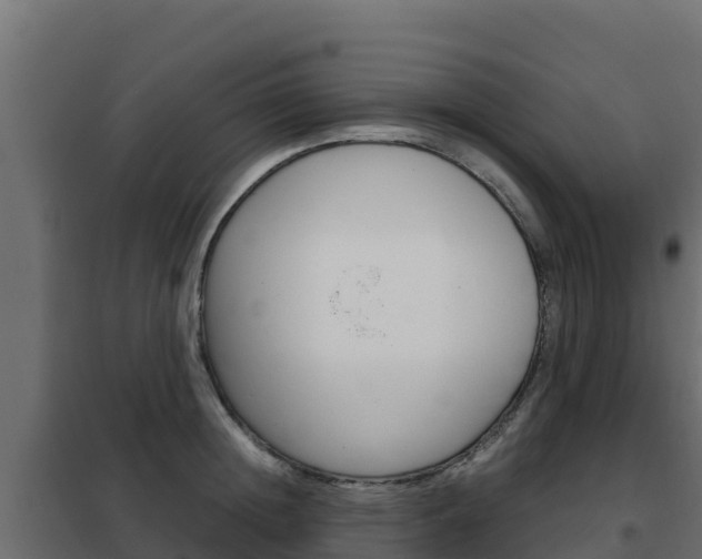 X0000102480852200808081031