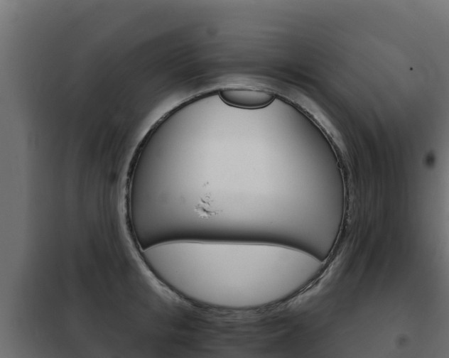 X0000102480853200808081031