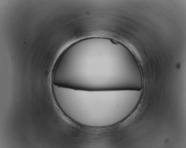 X0000102480854200808081031