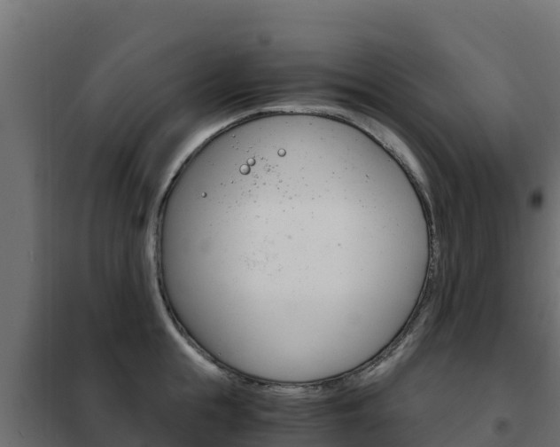X0000102480855200808081031