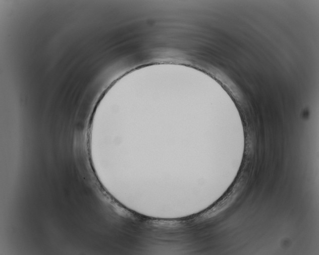 X0000102480856200808081031
