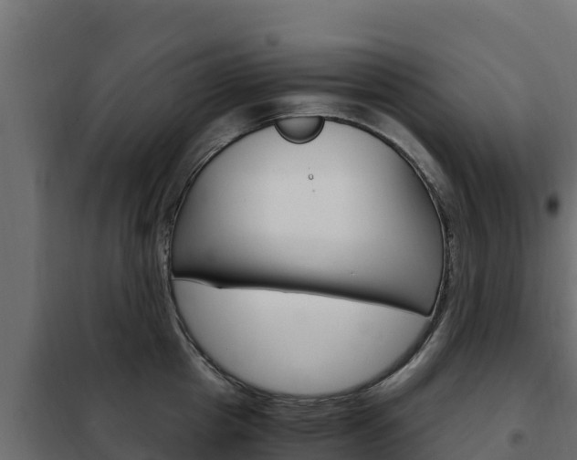 X0000102480857200808081031