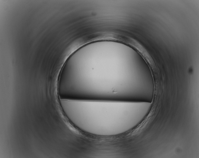 X0000102480858200808081031