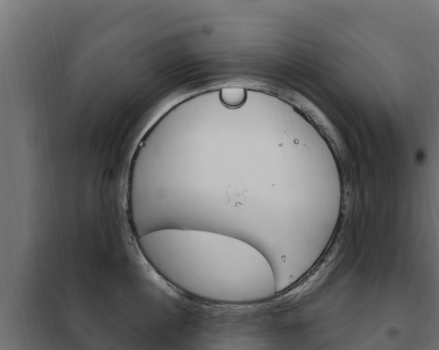 X0000102480860200808081031