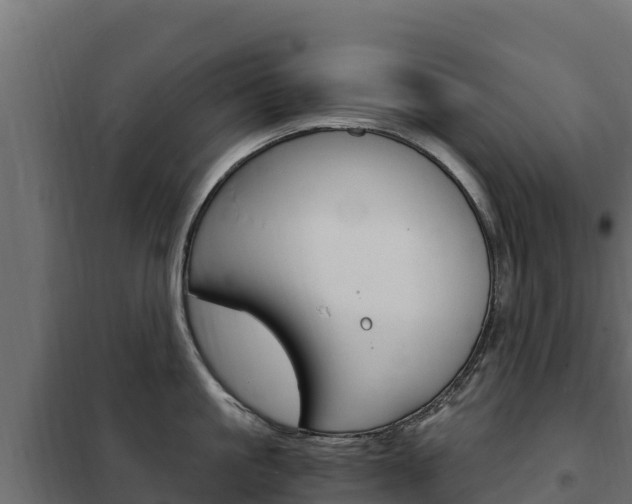 X0000102480861200808081031
