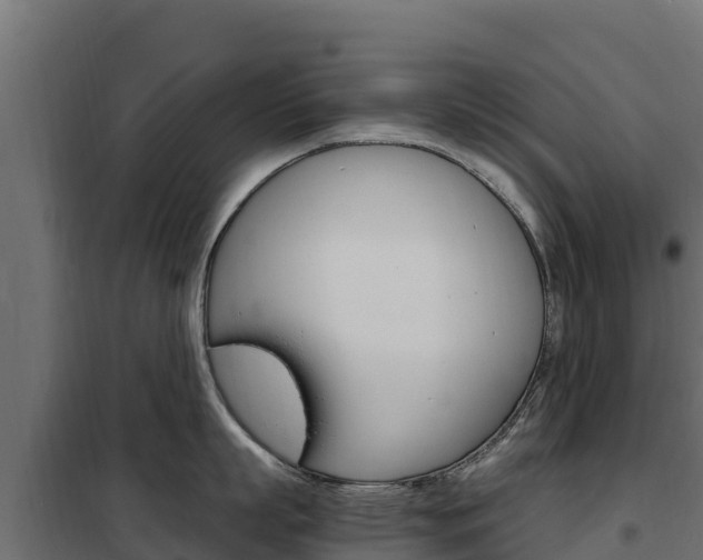 X0000102480863200808081031