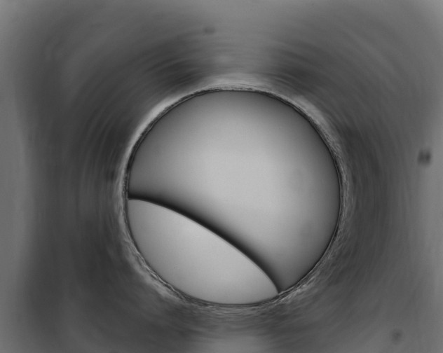 X0000102480864200808081031