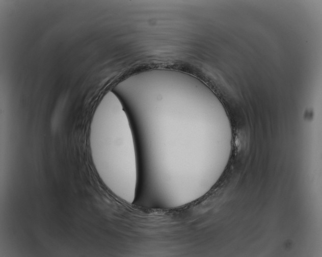 X0000102480867200808081031