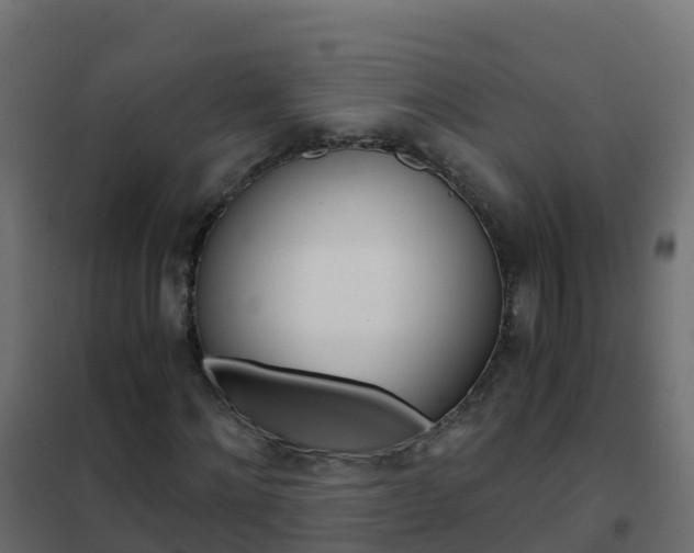 X0000102480868200808081031