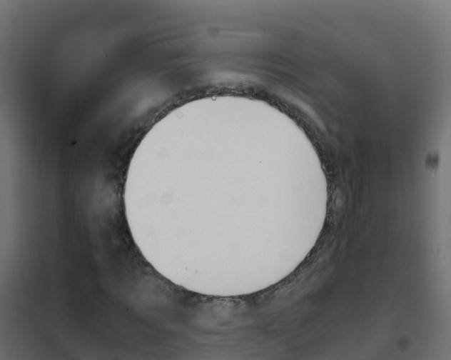 X0000102480869200808081031