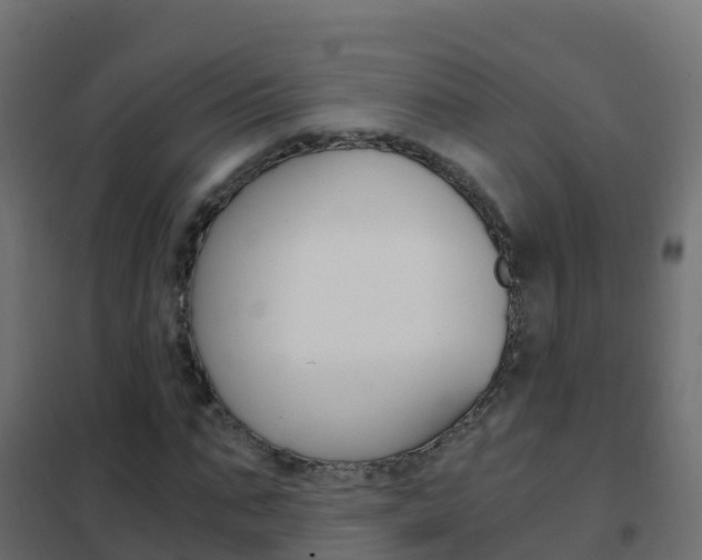 X0000102480871200808081030