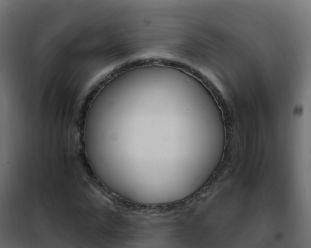 X0000102480872200808081030