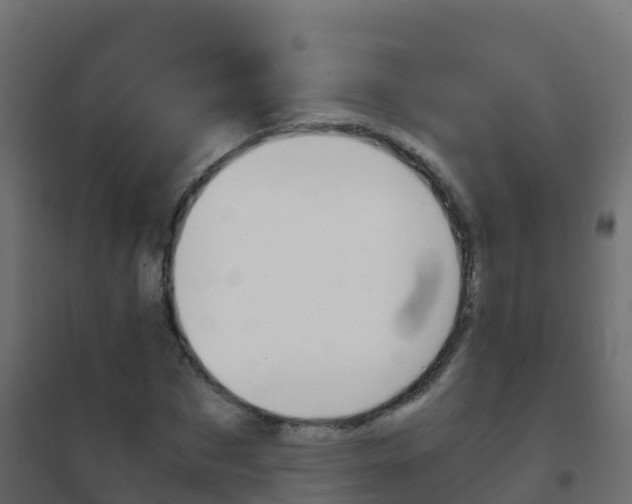X0000102480873200808081030