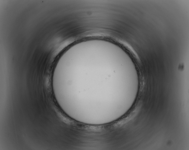 X0000102480874200808081030