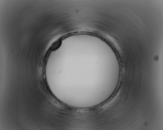 X0000102480875200808081030