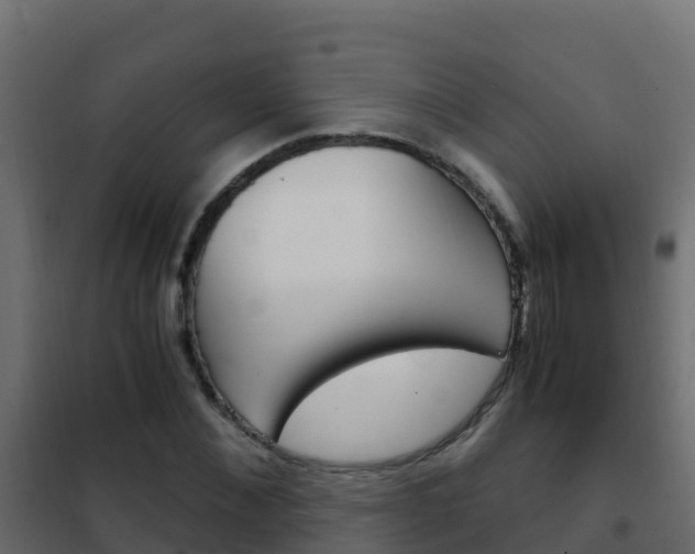 X0000102480876200808081030