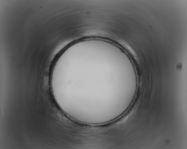 X0000102480877200808081030