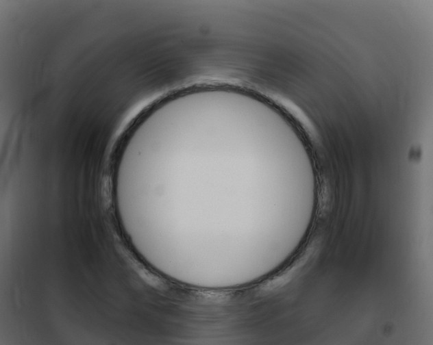 X0000102480878200808081030