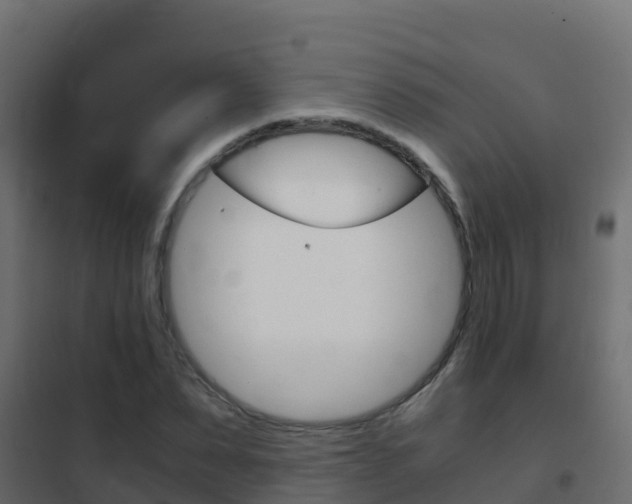 X0000102480879200808081030