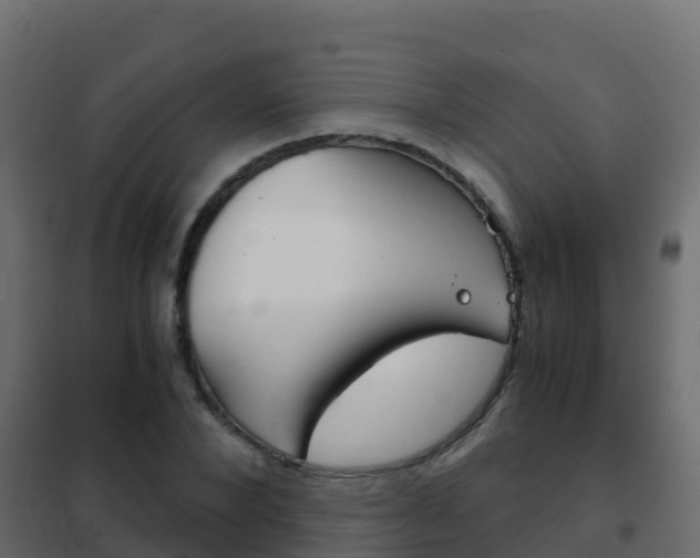 X0000102480880200808081030