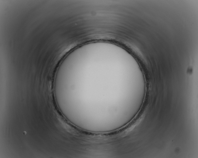 X0000102480881200808081030
