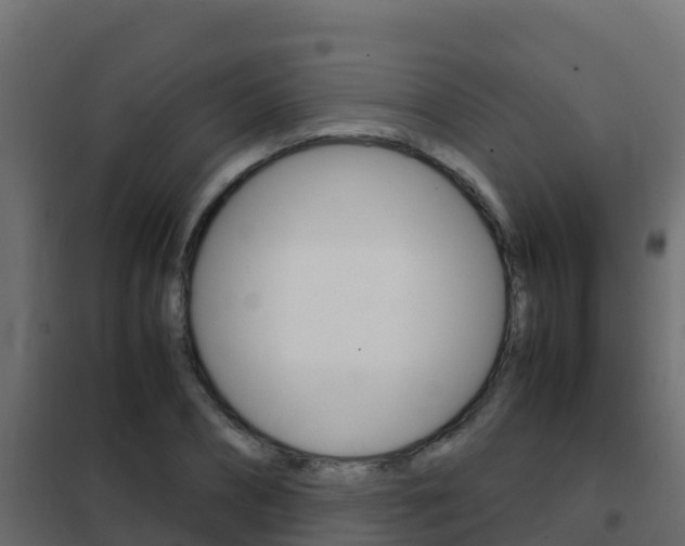 X0000102480882200808081030