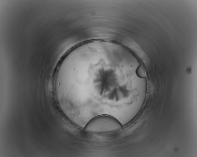 X0000102480883200808081030