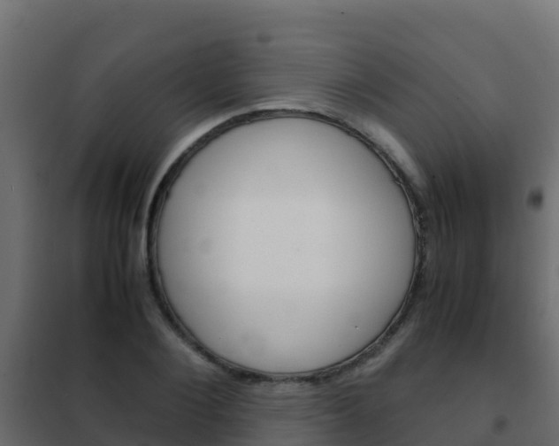 X0000102480884200808081030