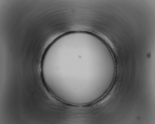 X0000102480885200808081030