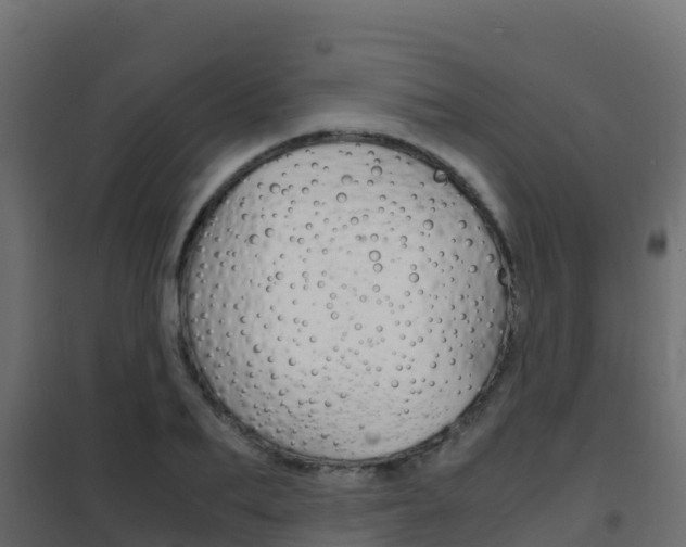 X0000102480887200808081030