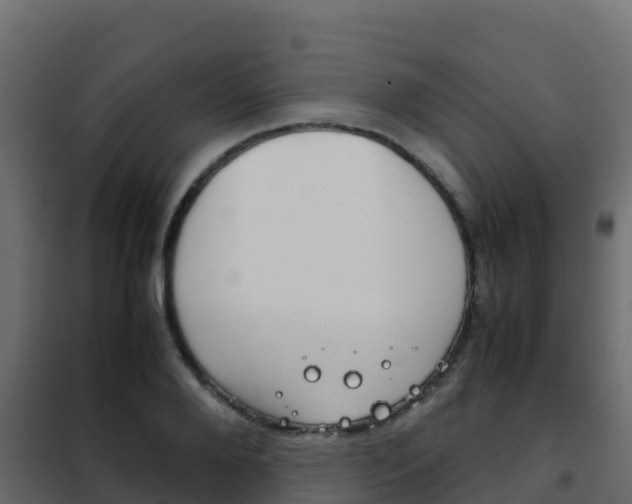 X0000102480888200808081030