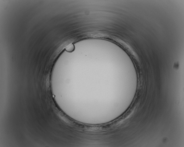 X0000102480889200808081030