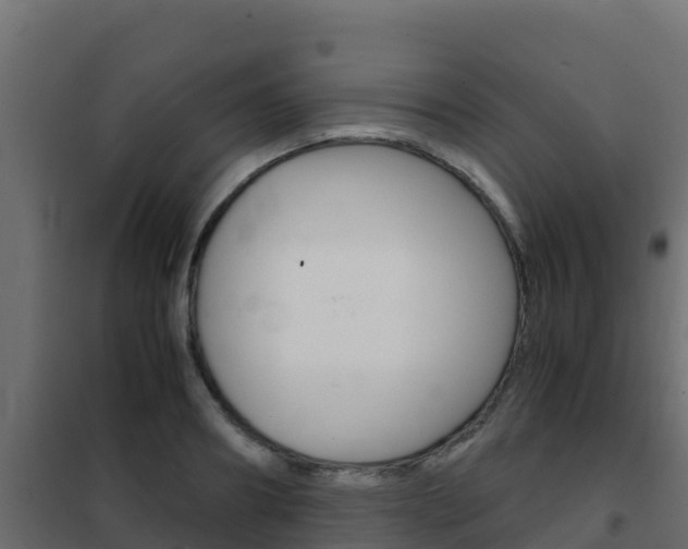 X0000102480890200808081030