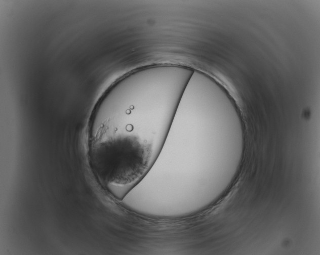 X0000102480891200808081030